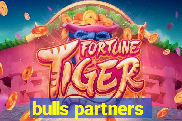 bulls partners